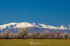Desierto de Gorafe