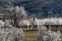 Desierto de Gorafe