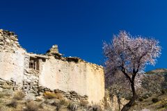 Desierto de Gorafe