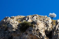 Desierto de Gorafe