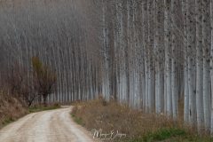 Desierto de Gorafe