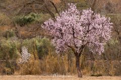 Desierto de Gorafe