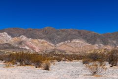 Los Cardones -3
