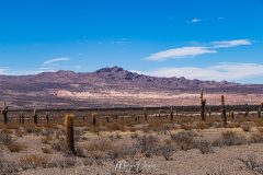 Los Cardones -4