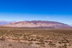 Los Cardones -6