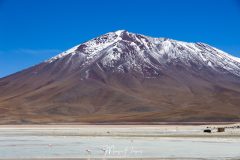 Lipez - Laguna blanca