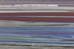 Lipez - Laguna dorada