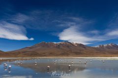 Lipez