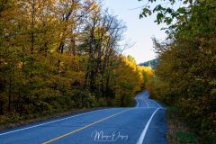 On the road again