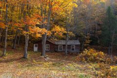 Cabane dans les bois