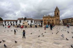 Tunja