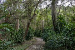 San Gil Parque Gallineral