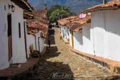 Guane