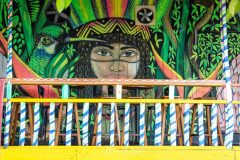 Amazonie
