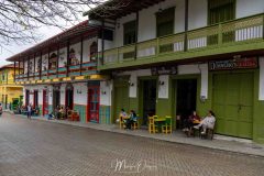 Jardin-3
