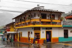 Jardin-8

