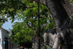 Mompox -2
