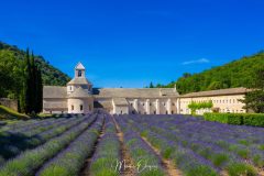 Abbaye de Sénanque