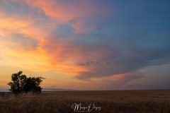 Coucher de soleil au Plateau de Valensole
