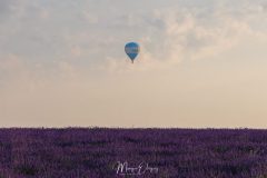 Montgolfière sur Valensole
