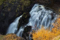 MG_4510