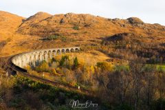 Harry Potter Bridge