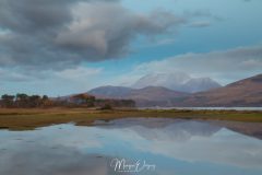 MG_5021