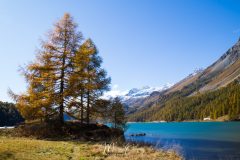 Sils Maria