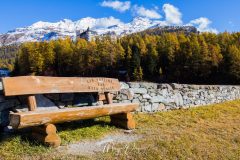 Sils Maria