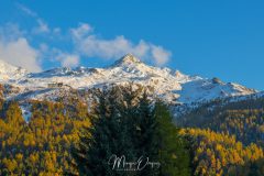 MG_9486-1