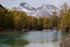 Lac de Palpuogna