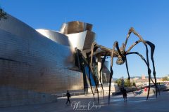 Musée Guggenheim