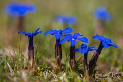 MG_3412