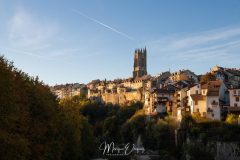 MG_5396