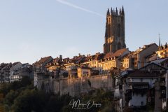 MG_5415