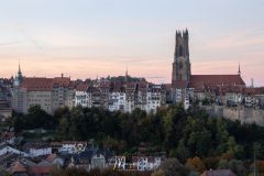 MG_5439