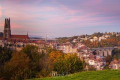 MG_5445