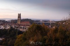 MG_5447