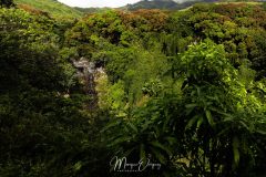 Maui