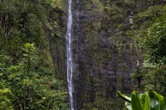 Maui