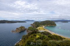 Robertson Island - Paihia