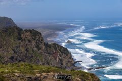 Piha Beach