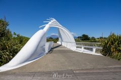 Te Rewa Rewa bridge