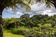 One Burgess New Plymouth