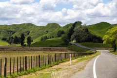 Forgotten World Highway