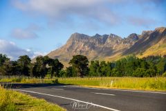Te Mata Peak
