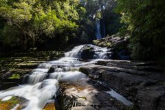 McLean falls