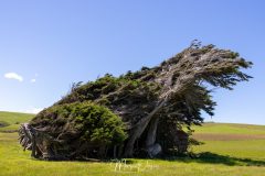 Slope Point