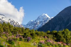 Parc National Mount Cook