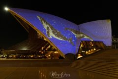 Sydney